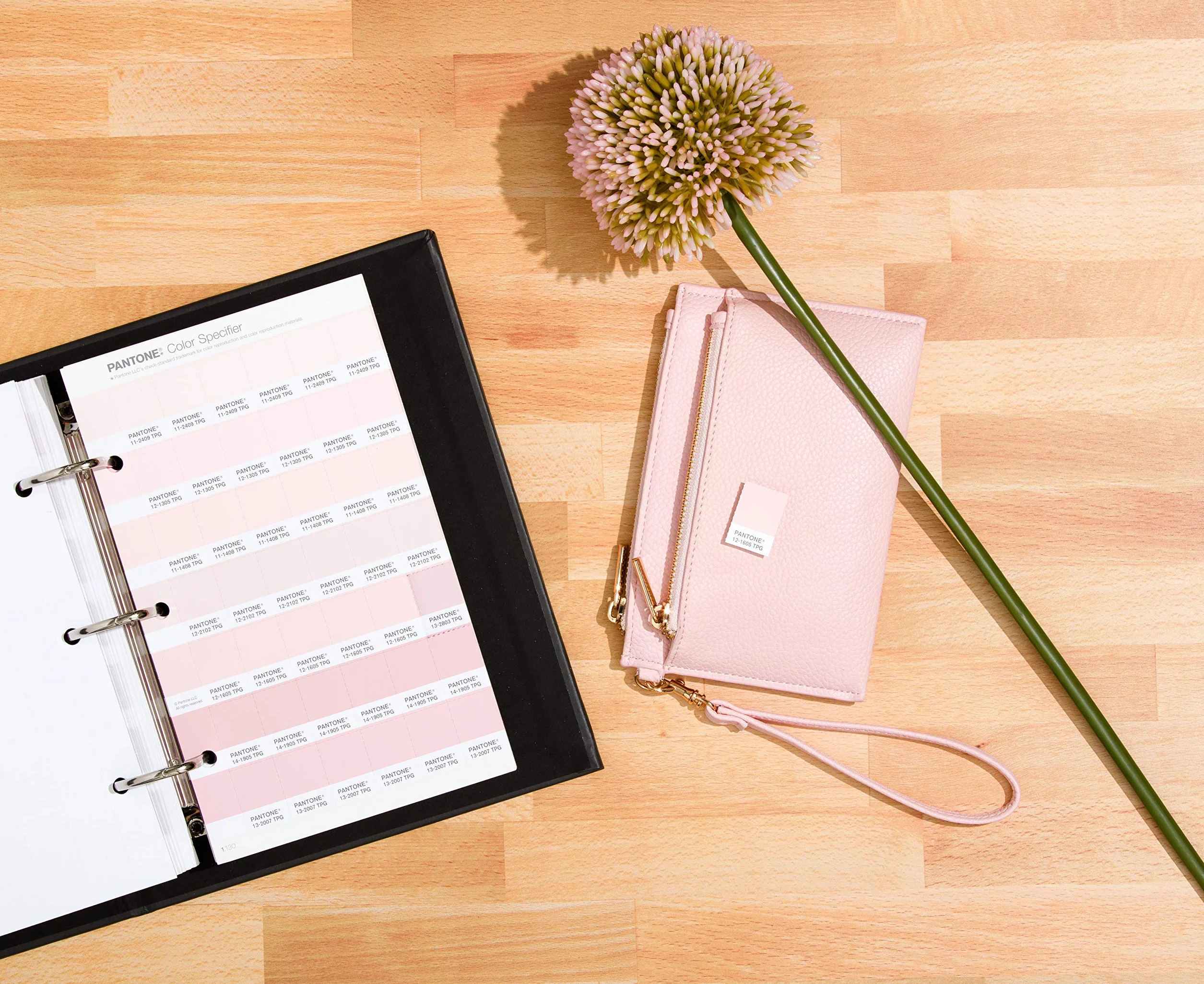 PANTONE FHIP210A Color Specifier - Color Specifer con formato de muestra extraíble