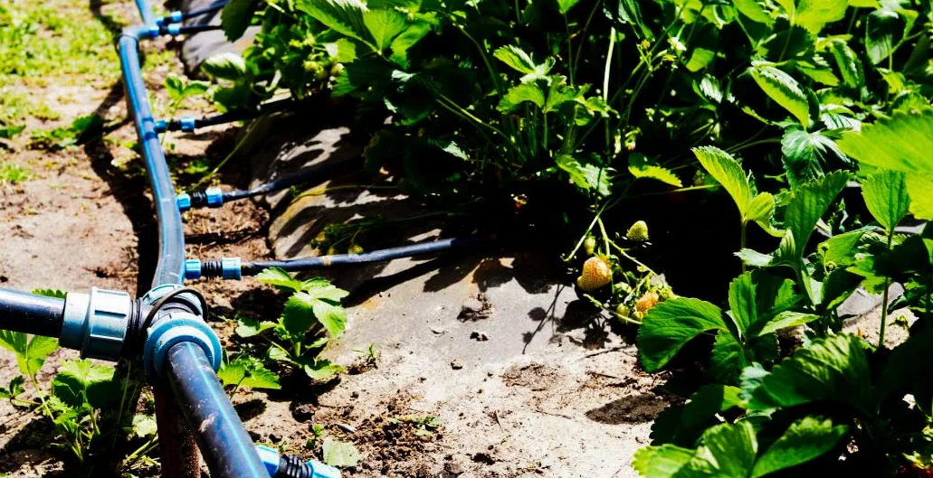 Suinga Tuberia agua potable 25mm 10 bar 25m | Tuberia 25 mm PE100 Alimentaria alta densidad | Tuberia Polietileno banda azul AENOR, negro